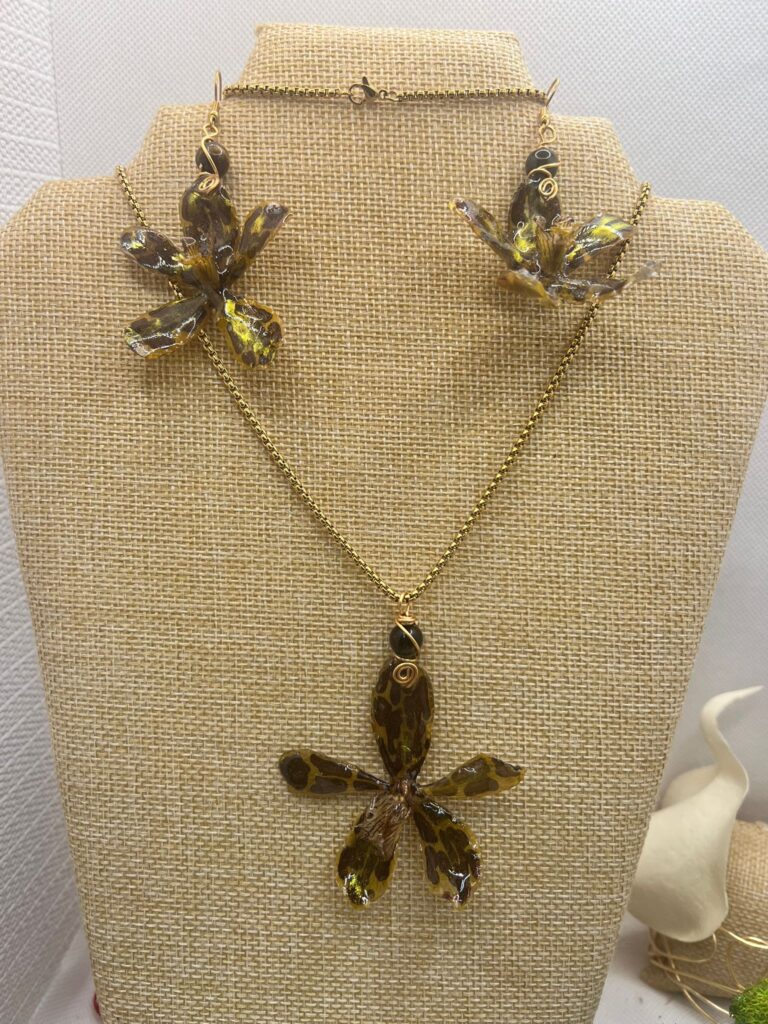 Set de Orquídea Gramathophilun Leopard ( orquídea exótica )